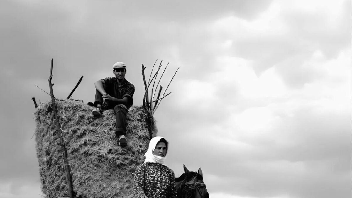 SİS VE KIZIL | Oğuz Ertürk