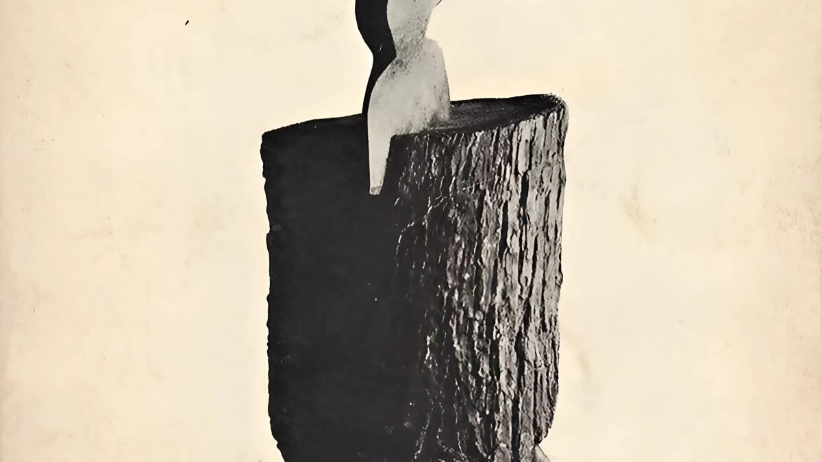 YARA SAHASINA ÇEKİLME | Birol Öztürk